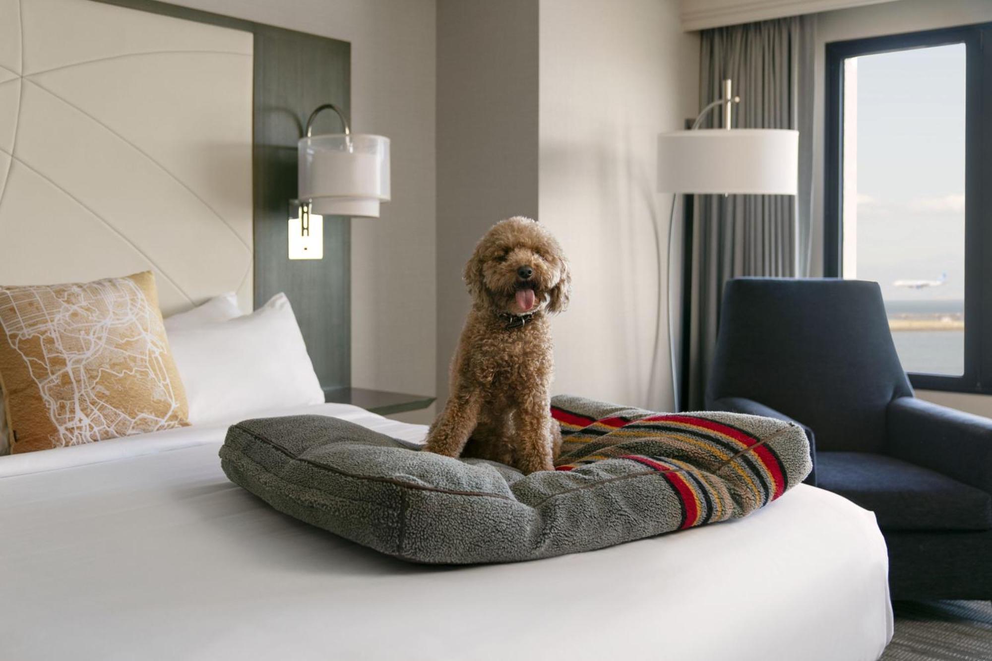 San Francisco Airport Marriott Waterfront Hotel Burlingame Kültér fotó